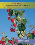 Fresh Market Caneberry Production Manual (    -   )